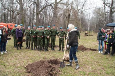 В Рязани посадили 42 краснолистных дуба и 18 ясеней