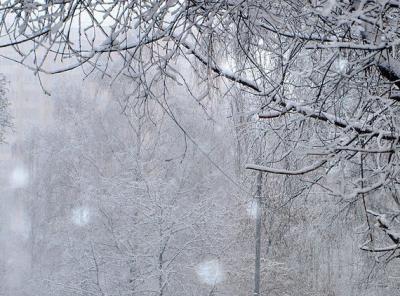 В Рязанском регионе 7 февраля ожидаются сильные снег и гололедица