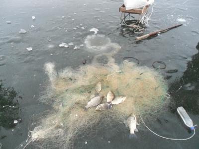 Рязанцев предупредили об ответственности за рыбную ловлю на зимовальных ямах