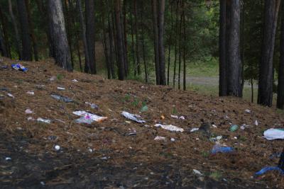 Криушинские школьники очистят родное село от полиэтиленовых пакетов