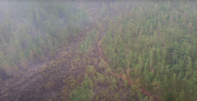 Опубликованы новые видео лесного пожара в Рязанской области
