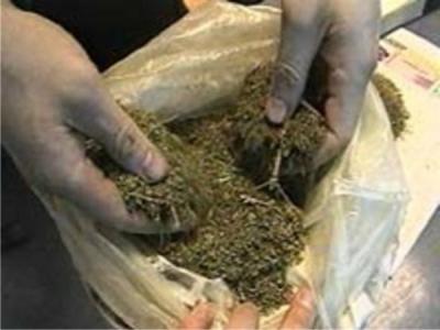 В Рязанской области у потомственного дилера изъяли более килограмма марихуаны