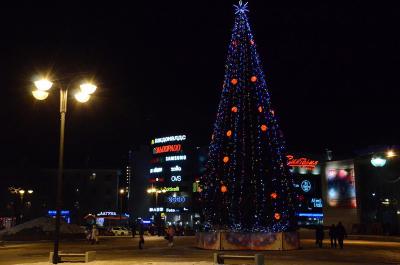 Новогодние Праздники В Рязани