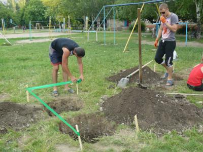 Спорт площадка на дачном участке своими руками (68 фото)