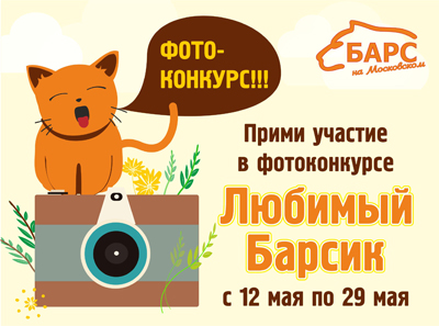 «Барс»: Фотоконкурс для хозяев котиков и кошечек
