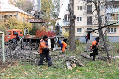 В Рязани проводят осеннее озеленение, уборку и подготовку к зимнему сезону