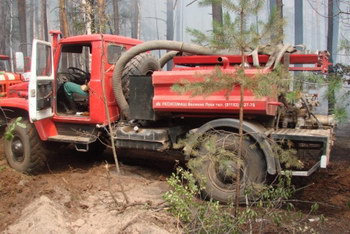 В Рязанской области обнаружено четыре очага загорания лесной подстилки