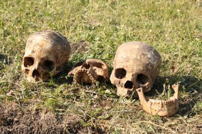 Человеческие останки, найденные в Рязанской области, отставят в покое