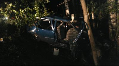 В результате опрокидывания Иж «Ода» близ Шилово пострадали две девушки и два парня