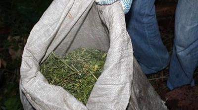 У жителя Шацкого района отобрали большой мешок марихуаны
