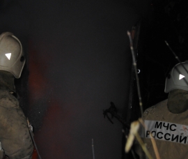 Кирпичная хозпостройка в Кораблинском районе сгинула в огне