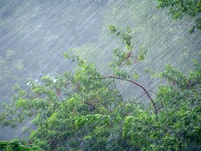 Рязанцев предупредили о проливном дожде