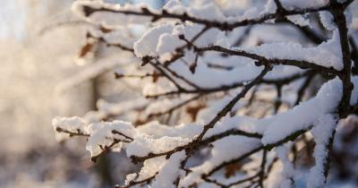 В Рязанском регионе ожидают небольшой снег