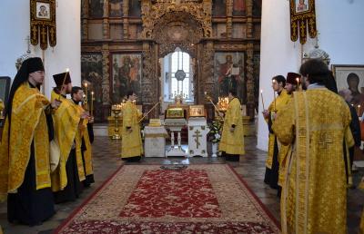Рязанский архиепископ встретил мощи святителя Феофана