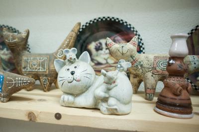 В художественном салоне «Палитра» поселились мартовские коты, кошки и котята