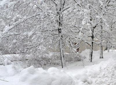 В Рязанской области ожидают небольшой снег