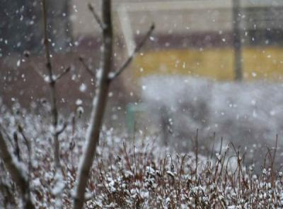 В Рязанском регионе ожидаются дождь и мокрый снег