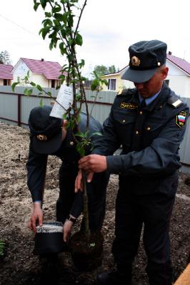 Рязанские полицейские посадили не преступников, а деревья