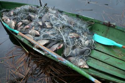 В Клепиковском районе поймали двух браконьеров, незаконно добывших рыбу