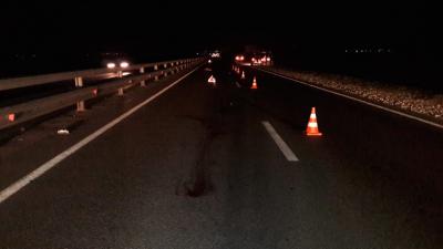 На автодороге Рязань–Клепики пешеход погиб под колёсами трёх автомобилей