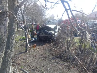 В Михайлове автомобиль ВАЗ-214 столкнулся с ВАЗ-2115 и врезался в дерево