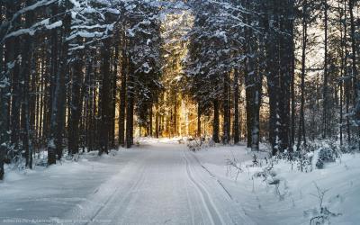 Зимой в Рязани будут функционировать пять лыжных трасс