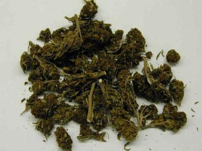 На Рязанщине пресечены несколько фактов незаконного оборота марихуаны