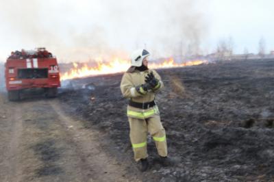 В Рязанской области продолжает гореть трава