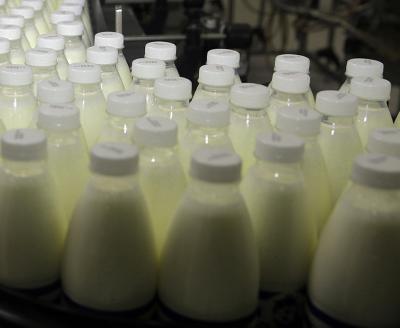 Шиловские предприятия уличили в хранении обезличенной молочной продукции