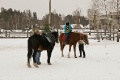 конная база в Требухино, Маше очень нравится ездить на лошадях, скоро в нашей семье появится наездник: title=