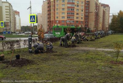 Рязанский «Мамин сквер» пополнили новые деревья и кустарники