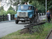 В Рязанском кремле выросло два железных дерева