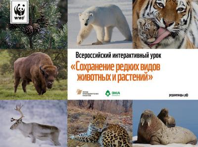 Рязанским педагогам предлагают провести экоурок о сохранении редких видов животных