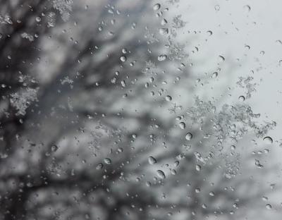 В Рязанском регионе ожидаются дожди и мокрый снег