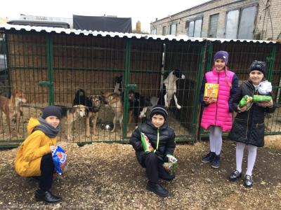 Рязанские школьники собрали более двух тонн корма для бездомных животных