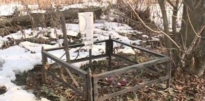 В Рязани разрастается неофициальное кладбище домашних животных
