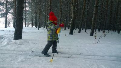 Для рязанских поклонников лыж обустроят четыре трассы