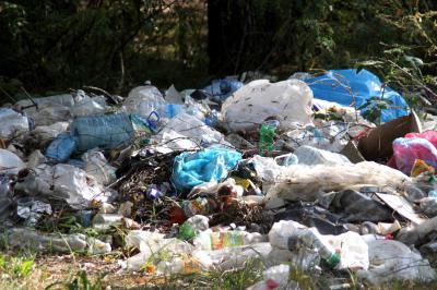 В рамках проекта ОНФ «Генеральная уборка» на Рязанщине убрали 61 свалку