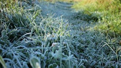 В Рязанском регионе вновь ожидаются заморозки