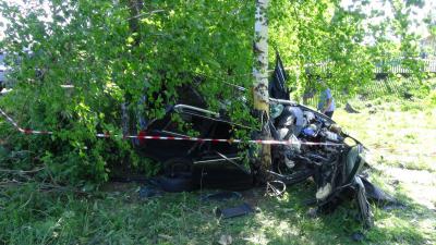 В результате столкновения Audi с деревом погибли два рязанца