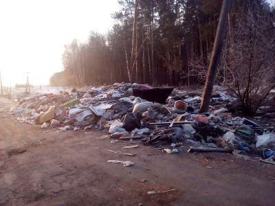 Свалка возле Лакаша Спасского района вновь привлекла внимание общественности