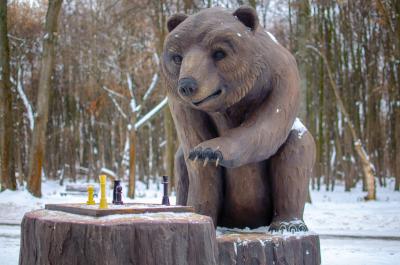 Рязанцам предложили выбрать имя лесопарковому медведю