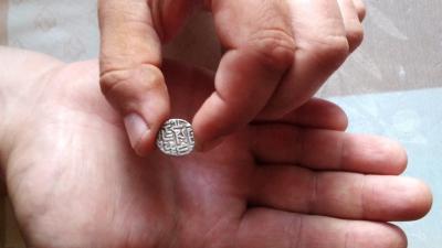 В Скопинском районе местный житель нашёл монету Золотой Орды