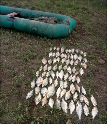 Браконьеры в Рязанской области ловили рыбу в период нереста