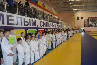 В Шилово прошло открытое первенство области по спортивным единоборствам