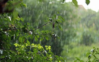 Рязанцам пообещали дожди и грозы