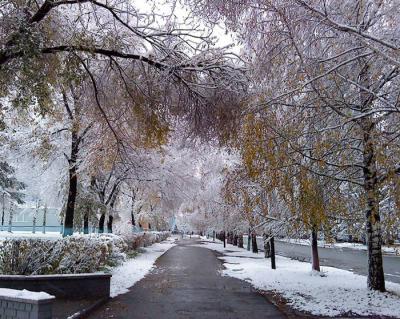 В Рязани прогнозируют первый снег