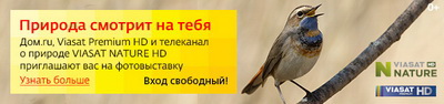 «Дом.ru»: В Рязани откроется фотовыставка «Природа смотрит на тебя»