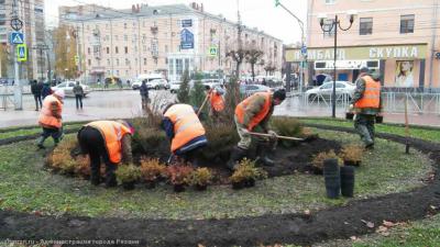 Площадь Победы пополнили 260 молодых деревьев и кустарников