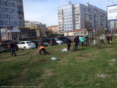 На улице Есенина посадили 15 остролистных клёнов